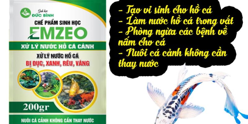 Cách xử lý nước hồ cá bị rêu bằng EMZEO