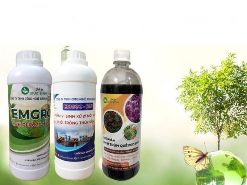 Tìm hiểu thông tin tổng quan về chế phẩm sinh học
