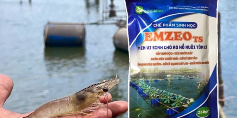 Chế phẩm sinh học chăn nuôi: Tìm hiểu chi tiết nhất năm 2024
