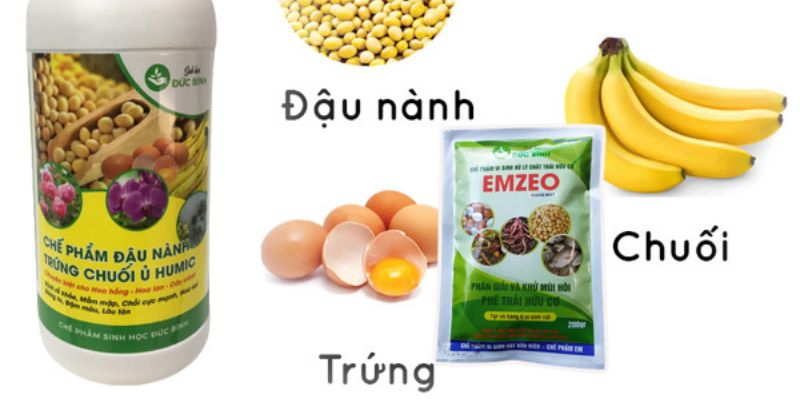 Giải thích chế phẩm sinh học cho cây trồng là gì