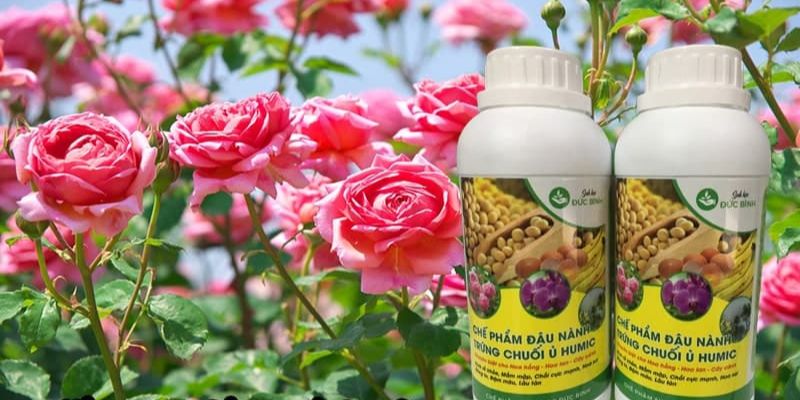 Liệt kê các loại chế phẩm sinh học cho cây trồng