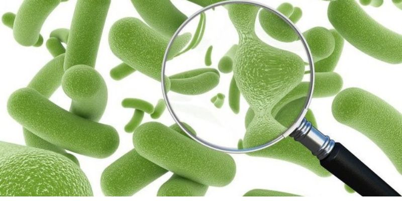 Giải thích chi tiết rõ ràng các chế phẩm sinh học trong thủy sản