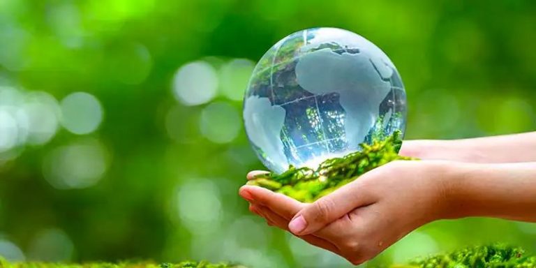 Chế phẩm sinh học xử lý môi trường đối với đời sống hiện nay