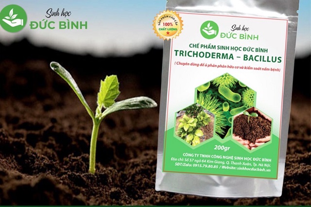 Trichoderma Bacillus - Lợi ích hoàn hảo cho cây trồng 