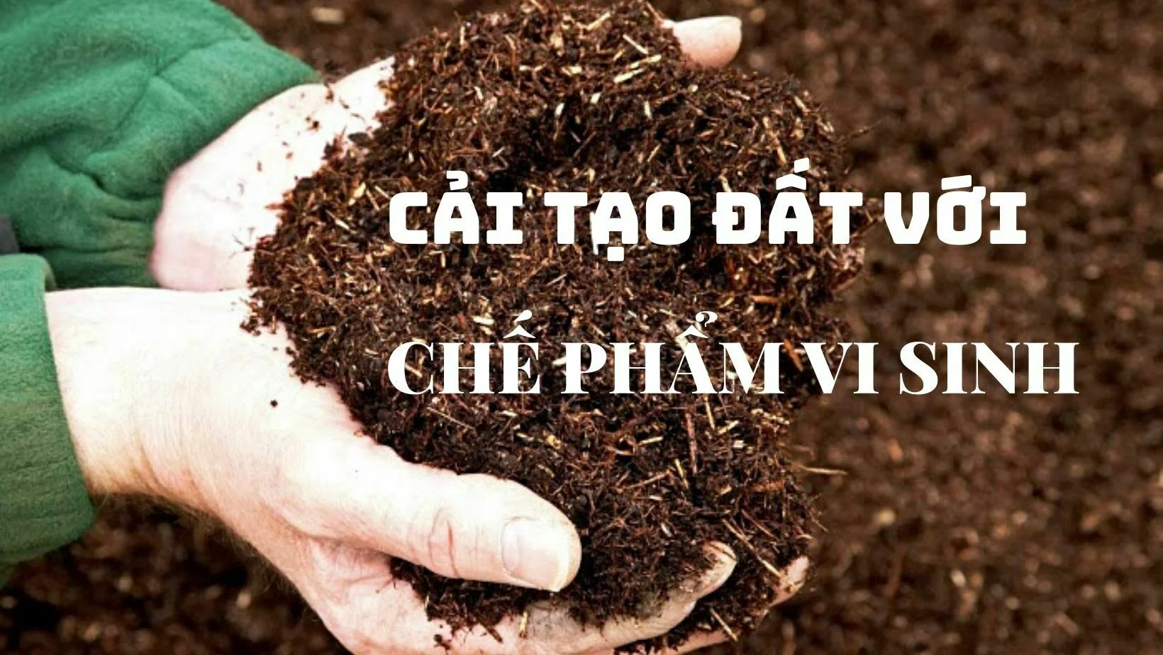 Công dụng tuyệt vời của chế phẩm vi sinh 