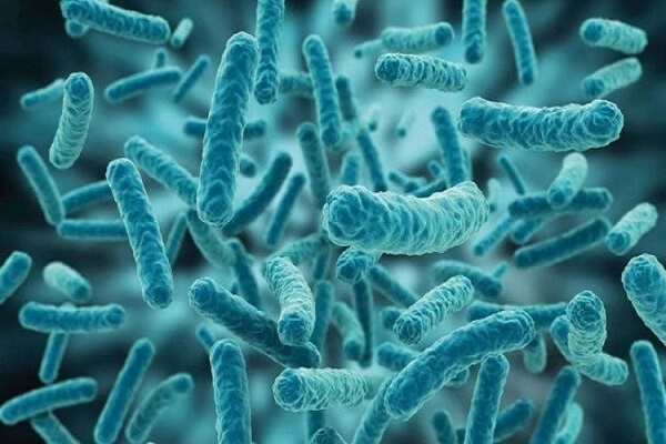 Cơ chế hoạt động của chế phẩm khử mùi hôi