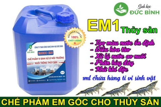 Hướng dẫn sử dụng chế phẩm vi sinh trong nuôi trồng thủy sản 