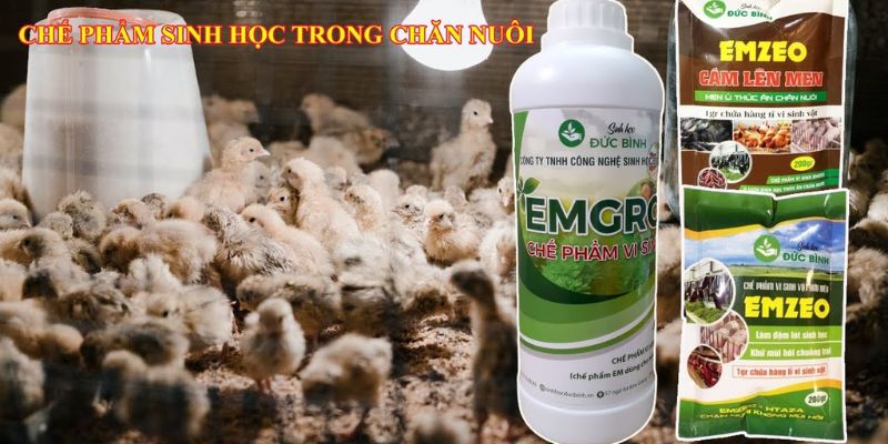 Chế phẩm EMZEO sử dụng và bảo quản đơn giản