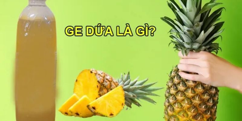 GE dứa đem tới loại phân hữu cơ chất lượng