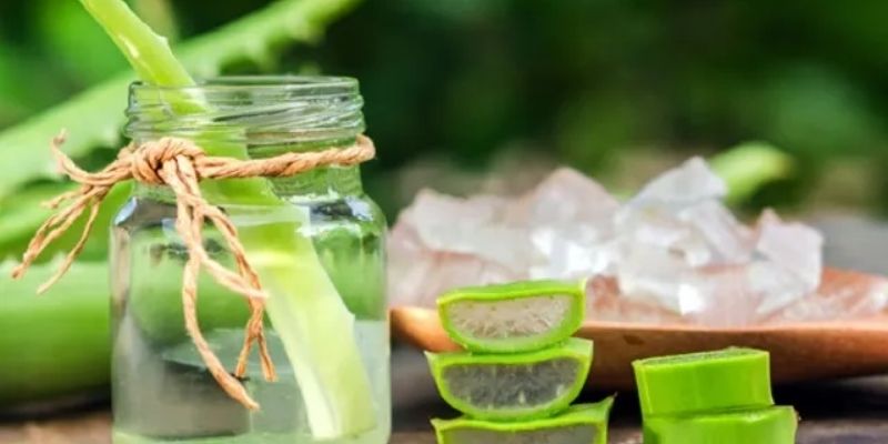 Công dụng GE nha đam thực tế là gì?