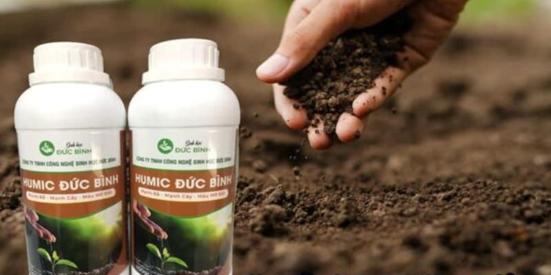  Hiểu rõ hơn về sản phẩm đạm cá 