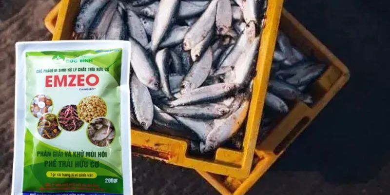 Giúp cây sinh trưởng ngày càng chắc khỏe 