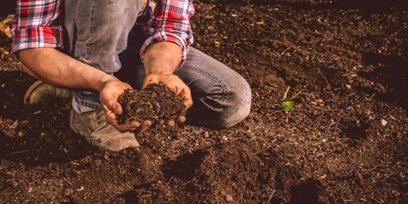 Ủ phân làm mùn đơn giản hiệu quả cao