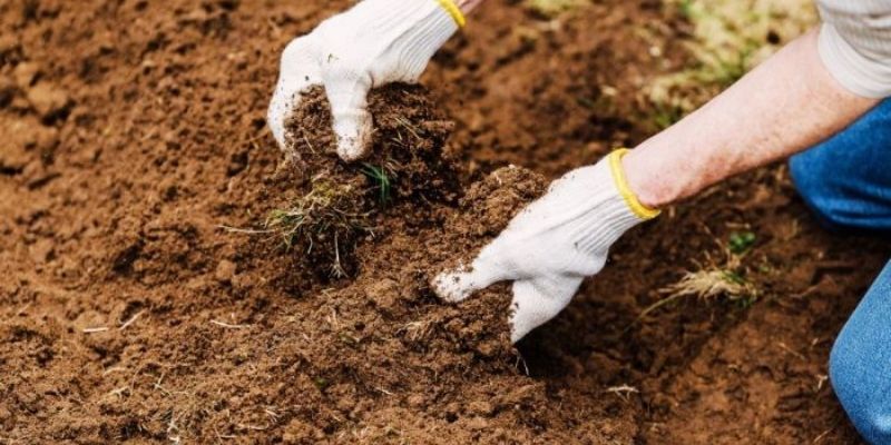 Giải đáp câu hỏi đất nào giữ nước tốt nhất?