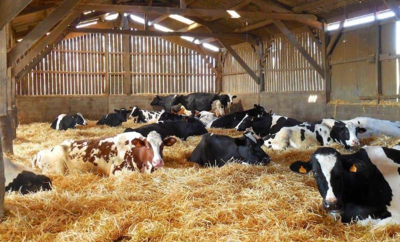 Các bước thực hiện nhanh chóng, hiệu quả cho bà con 