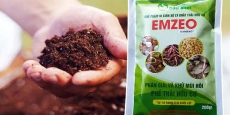Dung dịch giúp đẩy nhanh sự thụ phấn
