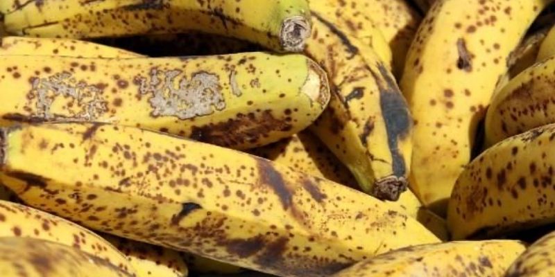 Chia sẻ cách tạo ra GE đơn giản từ chuối