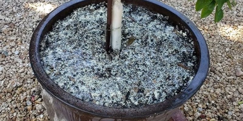 Vô số tác dụng của dung dịch GE 