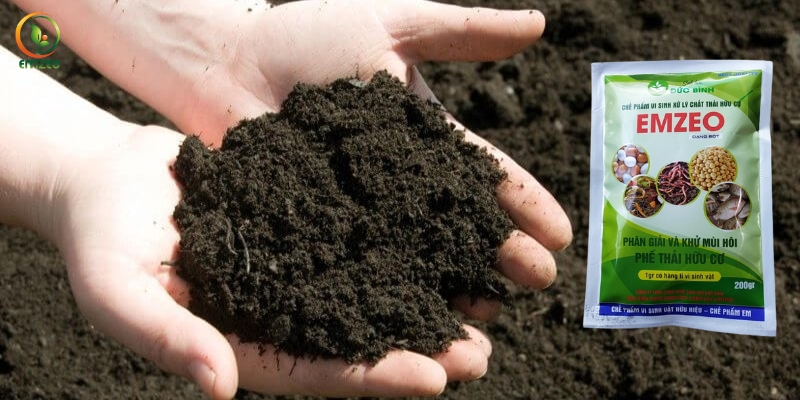 Chế phẩm EM gốc hỗ trợ quá trình ủ phân diễn ra nhanh hơn