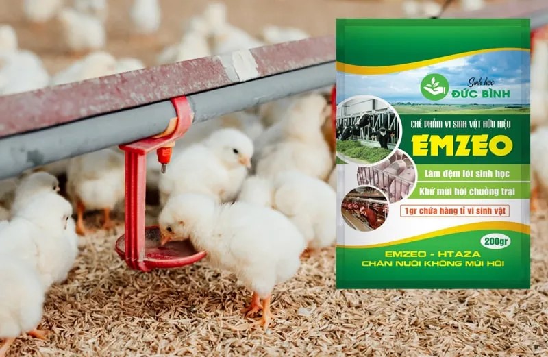 Một số giải pháp khắc phục hiệu quả nhất cho bà con