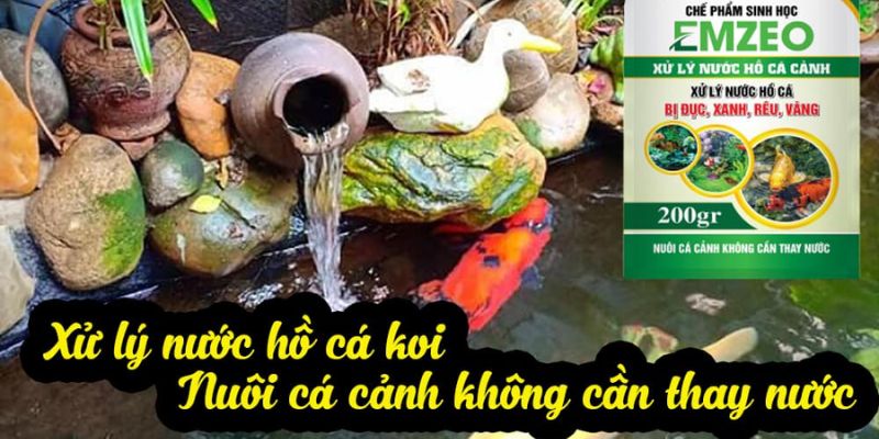 Sử dụng EMZEO khắc phục nước bị đục
