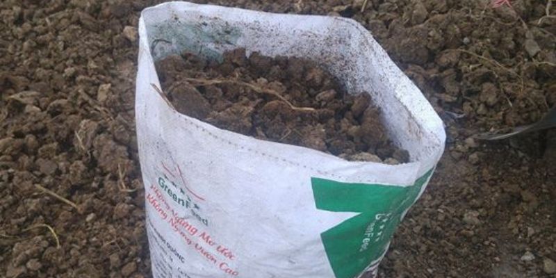 Khái niệm để dẫn đến câu hỏi phân bò khô có tác dụng gì