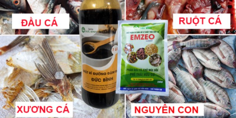 Phân cá – Phân bón lành tính được tin dùng nhất hiện nay 
