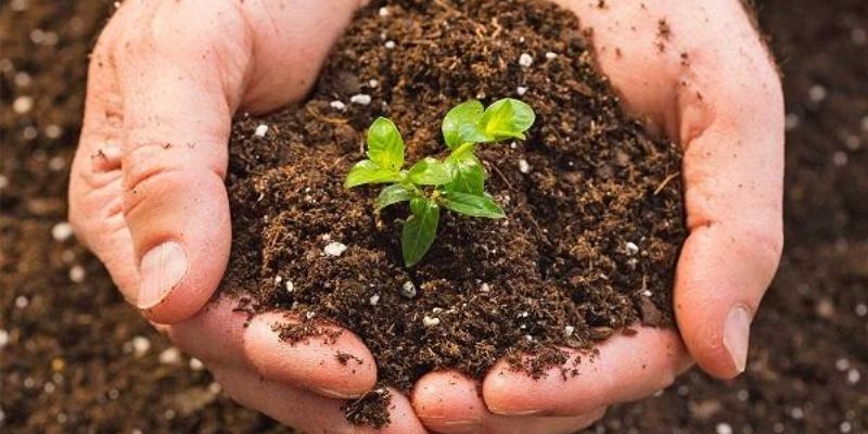 Các dạng của sản phẩm hữu cơ nàyCác dạng của sản phẩ
