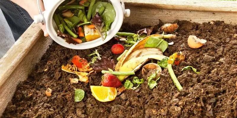 Thông tin về phân chuồng bà con cần nắm rỗ