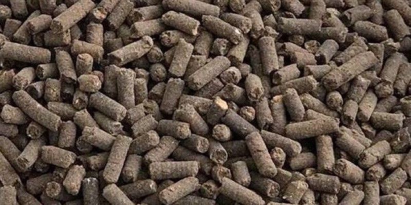 Sử dụng phân gà trong nông nghiệp thời đại mới rất hữu ích