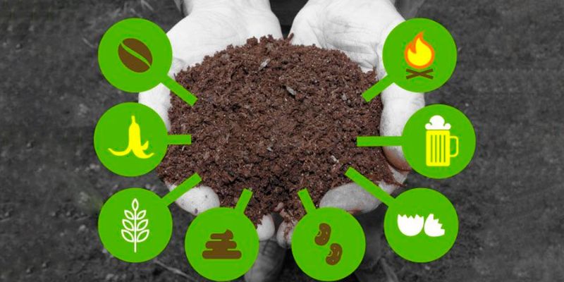 Khái niệm cụ thể về phân hữu cơ