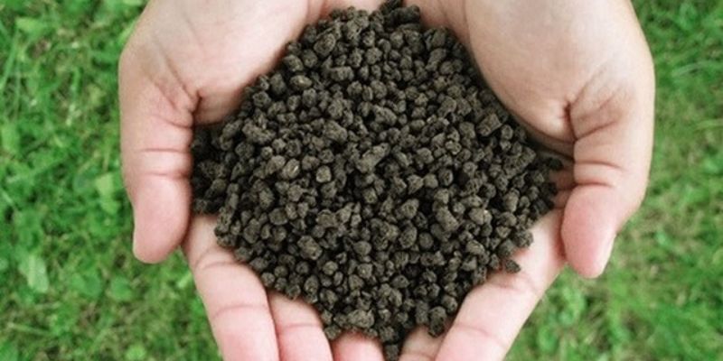 Rõ hơn về tác dụng của phân dê cho mọi người