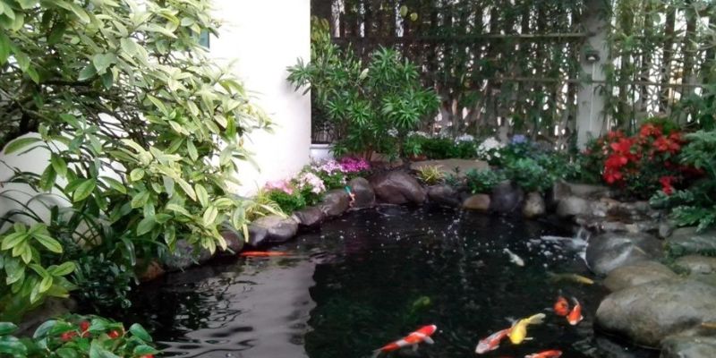 Tự làm men vi sinh có thể cải thiện chất lượng nước 