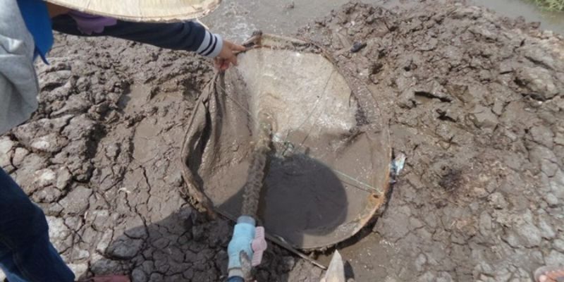 Xử lý bùn đáy ao nuôi cá bằng cách ngăn chặn sự xói mòn
