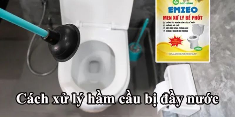 Xử lý hầm cầu bị đầy bằng thuốc EMZEO Đức Bình